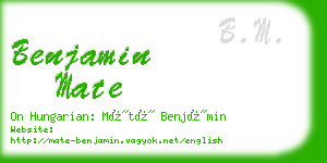 benjamin mate business card
